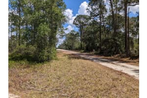 430 Apple Blossom Avenue, Lake Placid, FL 33852 - MLS#F10474031