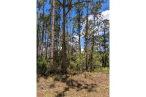 430 Apple Blossom Avenue, Lake Placid, FL 33852 - MLS#F10474031