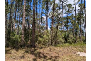 430 Apple Blossom Avenue, Lake Placid, FL 33852 - MLS#F10474031