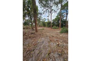 3195 C Rd, Loxahatchee, FL 33470 Sold 08/07/25