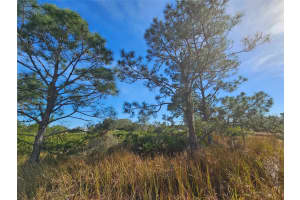 1810 N NANTUCKET RD, Avon Park, FL 33825 - MLS#F10474687