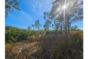 1810 N NANTUCKET RD, Avon Park, FL 33825 - MLS#F10474687