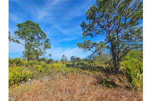 1810 N NANTUCKET RD, Avon Park, FL 33825 - MLS#F10474687