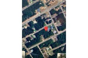 684 Pitler Place, Citrus Springs, FL 34434 - MLS#F10475628