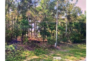 684 Pitler Place, Citrus Springs, FL 34434 - MLS#F10475628