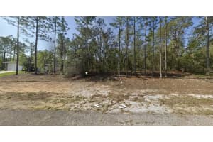 602 E Nemo Dr, Dunnellon, FL 34434 - MLS#F10475684