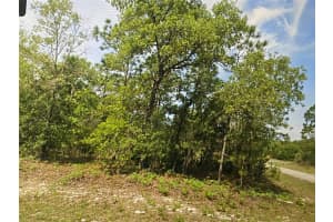 6689 Bedstrow Boulevard, Citrus Springs, FL 34434 - MLS#F10475701