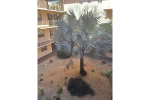 2811 Somerset Dr 312, Lauderdale Lakes, FL 33311 - MLS#F10480022