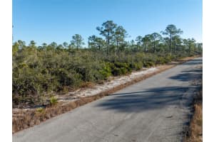 3341 Plover Ave, Lake Placid, FL 33852 Sold 09/19/25