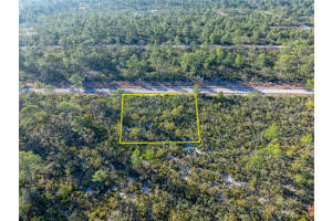 3341 Plover Ave, Lake Placid, FL 33852 Sold 09/19/25