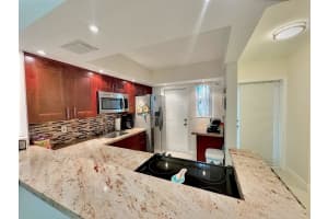 1333 E Hallandale Beach Blvd 106, Hallandale Beach, FL 33009 Sold 06/20/25