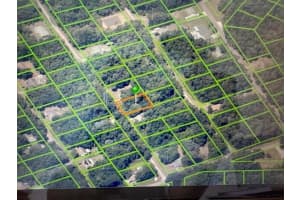 3645 E Yandle Pl, Inverness, FL 34453 Sold 04/10/25