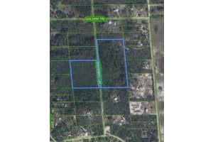 133 Sheppard Trl, Lake Placid, FL 33852 Sold 09/26/25