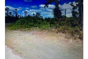 729 Ontario Avenue, Lehigh Acres, FL 33974 Sold 09/23/25