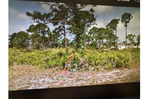 67 Coxswaine Cir Other, FL 33946 Sold 03/01/25