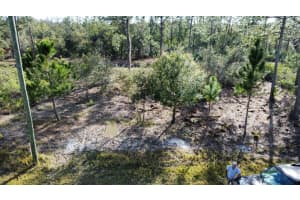 8356 Mantua Dr, Sebring, FL 33872 - MLS#F10484306