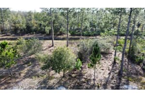 8356 Mantua Dr, Sebring, FL 33872 - MLS#F10484306