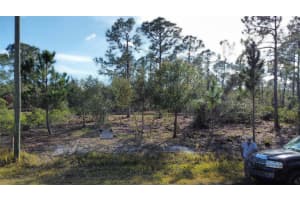 8356 Mantua Dr, Sebring, FL 33872 - MLS#F10484306