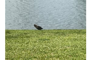 9500 N Hollybrook Lake Dr 202, Pembroke Pines, FL 33025 Sold 04/09/25