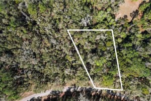 987 E Odin Dr, Dunnellon, FL 34434 - MLS#F10487364