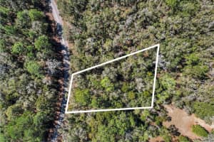 987 E Odin Dr, Dunnellon, FL 34434 - MLS#F10487364