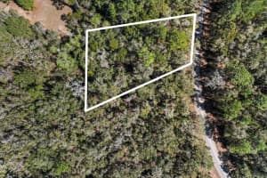987 E Odin Dr, Dunnellon, FL 34434 - MLS#F10487364