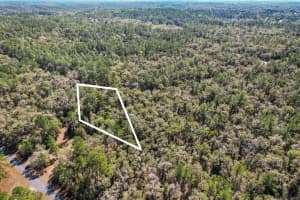 987 E Odin Dr, Dunnellon, FL 34434 - MLS#F10487364