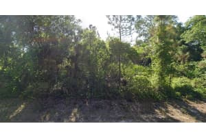 72 Troutdale St, Port Charlotte, FL 33954 - MLS#F10490237