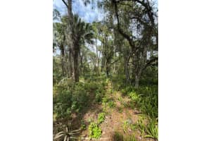 TBD Oak Hammock Lane, Fort Pierce, FL 34945 Sold 06/13/25