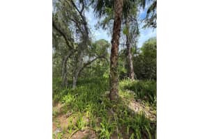 TBD Oak Hammock Lane, Fort Pierce, FL 34945 Sold 06/13/25