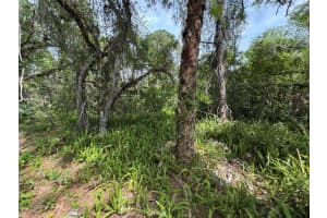 TBD Oak Hammock Lane, Fort Pierce, FL 34945 Sold 06/13/25