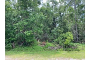 Lot 5 Blk 274 Allamanda Drive, Indian Lake Estates, FL 33855 - MLS#F10492669