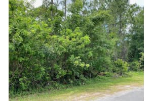 Lot 5 Blk 274 Allamanda Drive, Indian Lake Estates, FL 33855 - MLS#F10492669