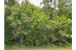 Lot 5 Blk 274 Allamanda Drive, Indian Lake Estates, FL 33855 - MLS#F10492669
