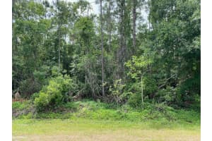 Lot 5 Blk 274 Allamanda Drive, Indian Lake Estates, FL 33855 - MLS#F10492669