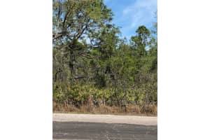 Lot 12 Blk 234 Palm Ave, Indian Lake Estates, FL 33855 Sold 06/06/25