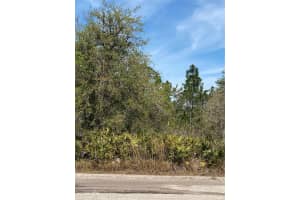 Lot 12 Blk 234 Palm Ave, Indian Lake Estates, FL 33855 Sold 06/06/25