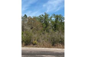 Lot 12 Blk 234 Palm Ave, Indian Lake Estates, FL 33855 Sold 06/06/25