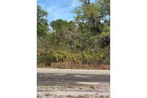 Lot 12 Blk 234 Palm Ave, Indian Lake Estates, FL 33855 Sold 06/06/25
