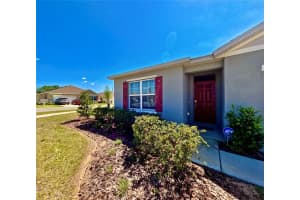 992 Serchio Street, Haines City