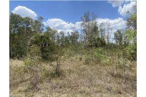 318 Kerrsdale Circle, Lehigh Acres, FL 33974 - MLS#F10494076