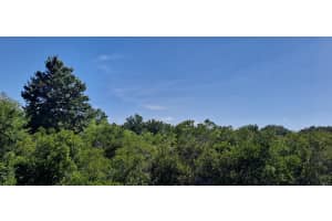 19264 NW 264th St, Okeechobee, FL 34972 - MLS#F10494724