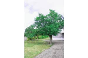 539 Montura Ave, Clewiston, FL 33440 Sold 09/05/25