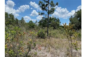 Lot 24 Indian Lake Drive, Indian Lake Estates, FL 33855 - MLS#F10495711