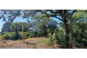 17711 NW 278th St, Okeechobee, FL 34972 - MLS#F10496246