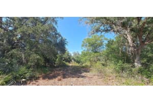 17711 NW 278th St, Okeechobee, FL 34972 - MLS#F10496246