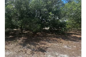 18571 NW 284th St, Okeechobee, FL 34972 Sold 06/11/25