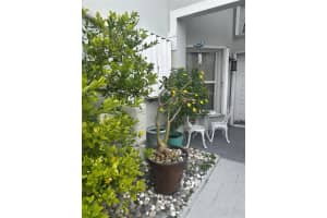 4753 154th Court, Miami, FL 33185 - MLS#F10496791