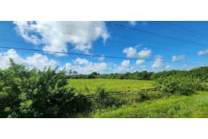 41301 Little Farm Road, Fl 33982 Punta Gorda, FL 33982 Sold 06/05/25