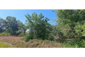 17537 NW 262nd St, Okeechobee, FL 34972 Sold 09/04/25